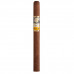 Сигары Cohiba Panetelas