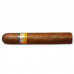 Сигары Cohiba Robustos